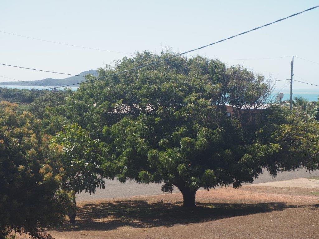 Sunset Watch views Sunset Watch views